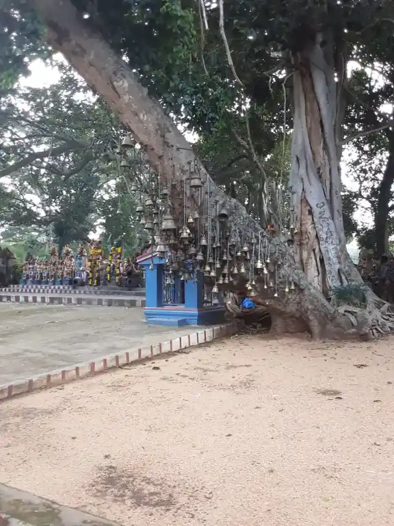 Arulmigu Vengalamudi Ayyanaar Temple, Kombaipatti - 624304 Arulmigu Vengalamudi Ayyanaar Temple, Kombaipatti - 624304, Dindigul - Ancient Temple Architecture and History Image 17