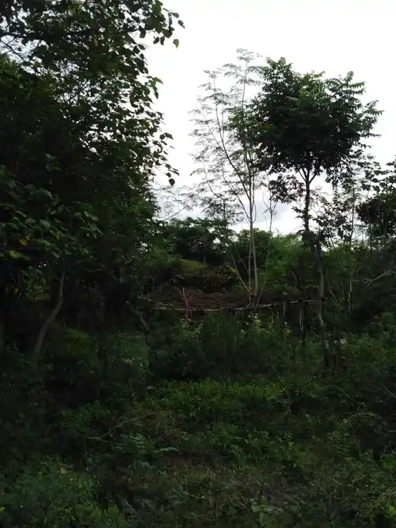 Arulmigu Vengatajalapathiswamy Temple, Kavanur - 609807