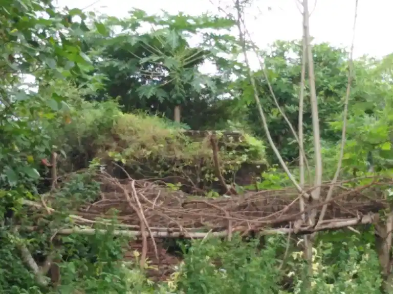 Arulmigu Vengatajalapathiswamy Temple, Kavanur - 609807 அருள்மிகு வெங்கடாஜலபதி திருக்கோயில், Kavanur - 609807, Thanjavur - Ancient Temple Architecture and History Image 3