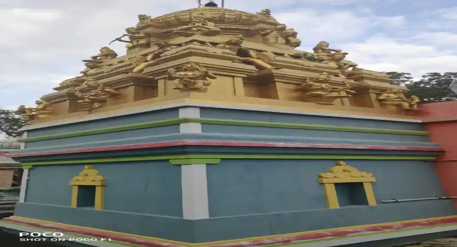 Arulmigu Vengatesa Perumal Temple, Paravakkal - 632602 அருள்மிகு வெங்கடேசப்பெருமாள் திருக்கோயில், பரவக்கல் - 632602, Vellore - Ancient Temple Architecture and History Image 4