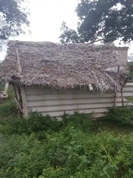 Arulmigu Vengatesaperumal Temple, Thulukampatti, Thuvarankurichi - 621310 Arulmigu Vengatesaperumal Temple, Thulukampatti, Thuvarankurichi - 621310, Thiruchirappalli - Ancient Temple Architecture and History Image 2