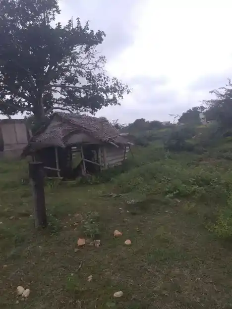 Arulmigu Vengatesaperumal Temple, Thulukampatti, Thuvarankurichi - 621310 Arulmigu Vengatesaperumal Temple, Thulukampatti, Thuvarankurichi - 621310, Thiruchirappalli - Ancient Temple Architecture and History Image 3