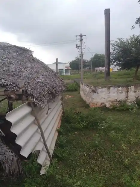Arulmigu Vengatesaperumal Temple, Thulukampatti, Thuvarankurichi - 621310 Arulmigu Vengatesaperumal Temple, Thulukampatti, Thuvarankurichi - 621310, Thiruchirappalli - Ancient Temple Architecture and History Image 5