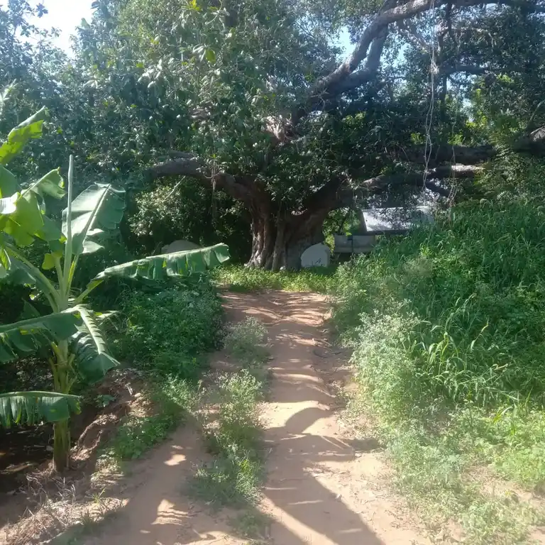 Arulmigu Vengoorsambal Temple, Athani - 621216 Temple