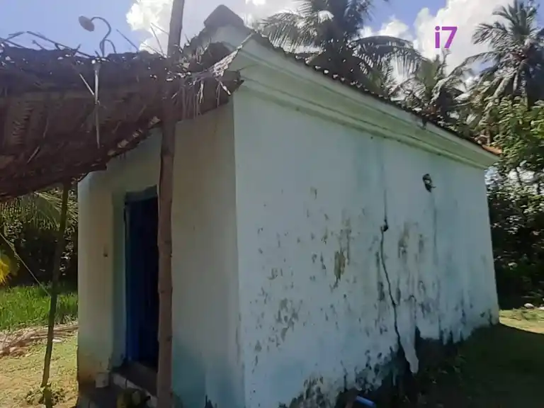 Arulmigu Venkadachalapathi Temple, Pinnathur - 614706 அருள்மிகு வெங்கடாசலபதி திருக்கோயில், Pinnathur - 614706, Thiruvarur - Ancient Temple Architecture and History Image 4