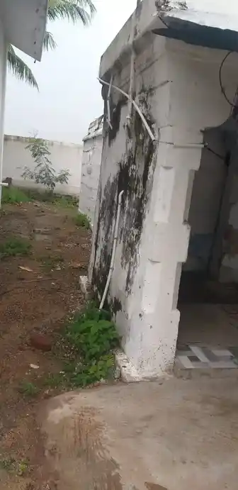 Arulmigu Venkadajalapathi Temple, Pannigundu - 625706 அருள்மிகு வெங்கடாஜலபதி திருக்கோயில், Pannigundu - 625706, Madurai - Ancient Temple Architecture and History Image 4