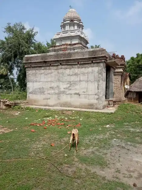 Arulmigu Venkadajalapathy Temple, Pudur - 610205 அருள்மிகு வெங்கடாசலபதி திருக்கோயில், Pudur - 610205, Thiruvarur - Ancient Temple Architecture and History Image 3