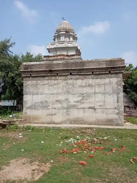 Arulmigu Venkadajalapathy Temple, Pudur - 610205 அருள்மிகு வெங்கடாசலபதி திருக்கோயில், Pudur - 610205, Thiruvarur - Ancient Temple Architecture and History Image 5