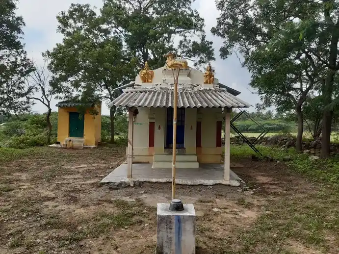 Arulmigu Venkadasaperumal Temple, Navanari - 642206