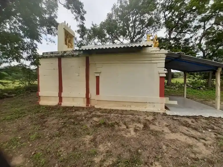 Arulmigu Venkadasaperumal Temple, Navanari - 642206 அருமிகு வெங்கடேசபெருமாள் திருக்கோயில், Navanari - 642206, Tiruppur - Ancient Temple Architecture and History Image 4