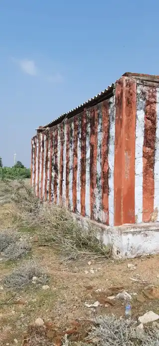 Arulmigu Venkatachalapathy Temple, Jumbulingapuram - 628402 அருள்மிகு வெங்கடாசலபதி திருக்கோயில், Jumbulingapuram - 628402, Thoothukudi - Ancient Temple Architecture and History Image 3