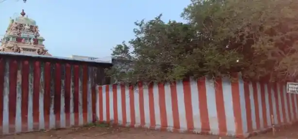 Arulmigu Venkatachalapathy Temple, Karunkulam - 628615 அருள்மிகு வெங்கிடாஜலபதி திருக்கோயில், Karunkulam - 628615, Thoothukudi - Ancient Temple Architecture and History Image 2