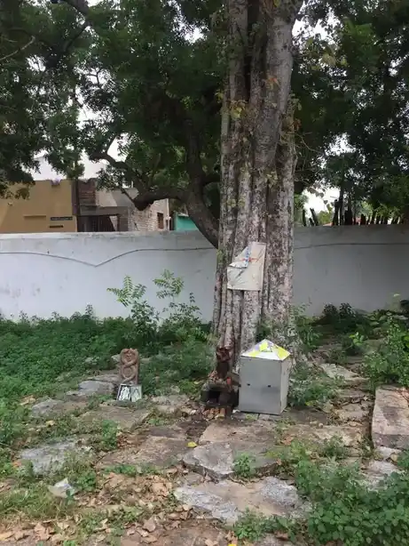 Arulmigu Venkatachalapathy Temple, Lalgudi - 621601 Arulmigu Venkatachalapathy Temple, Lalgudi - 621601, Thiruchirappalli - Ancient Temple Architecture and History Image 4