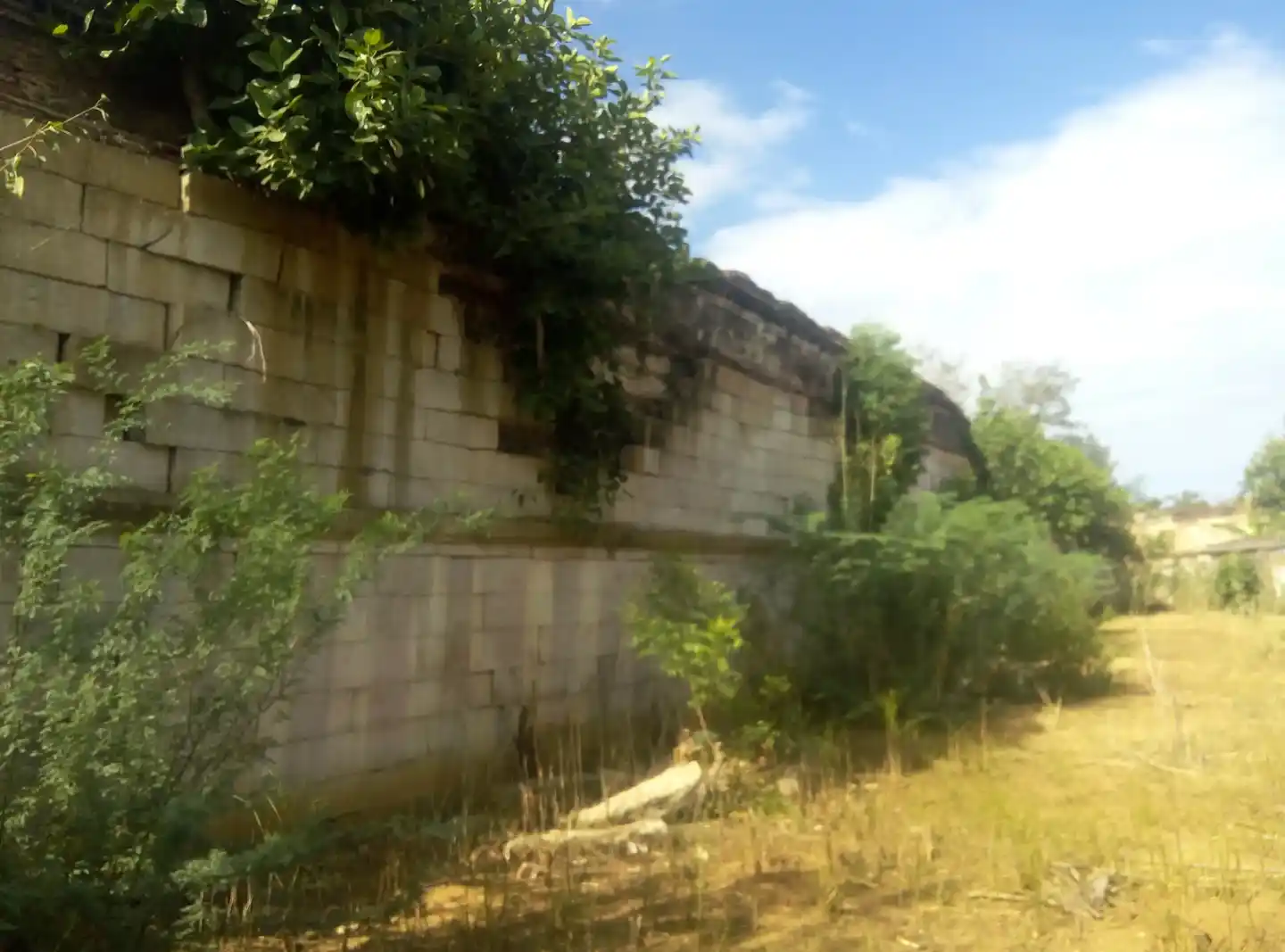 Arulmigu Venkatachalapathy Temple, Pallakkal - 627413 Arulmigu Venkatachalapathy Temple, Pallakkal - 627413, Tirunelveli - Ancient Temple Architecture and History Image 6
