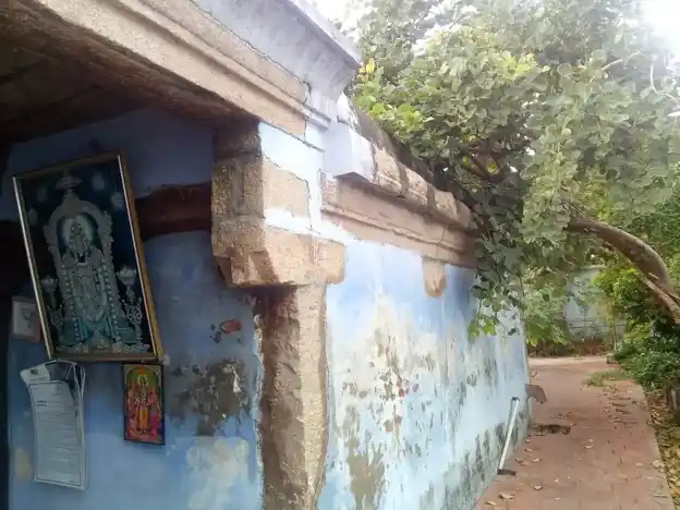 Arulmigu Venkatachalapathy Temple, Udayaneri - 627359 அருள்மிகு வெங்கடாசலபதி திருக்கோயில், உதயநேரி - 627359, Tirunelveli - Ancient Temple Architecture and History Image 8