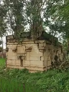 Arulmigu Venkatachalapathy Temple, Vellore - 621104 Temple