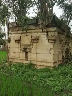 Arulmigu Venkatachalapathy Temple, Vellore - 621104 Arulmigu Venkatachalapathy Temple, வெல்லுர் - 621104, Thiruchirappalli - Ancient Temple Architecture and History Image 2