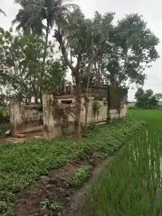 Arulmigu Venkatachalapathy Temple, Vellore - 621104 Arulmigu Venkatachalapathy Temple, வெல்லுர் - 621104, Thiruchirappalli - Ancient Temple Architecture and History Image 4