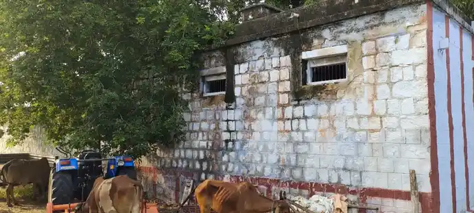 Arulmigu Venkatachalapathy Temple, Villiseri - I - 628503 அருள்மிகு வெங்கடாசலபதி திருக்கோயில், Villiseri - I - 628503, Thoothukudi - Ancient Temple Architecture and History Image 3