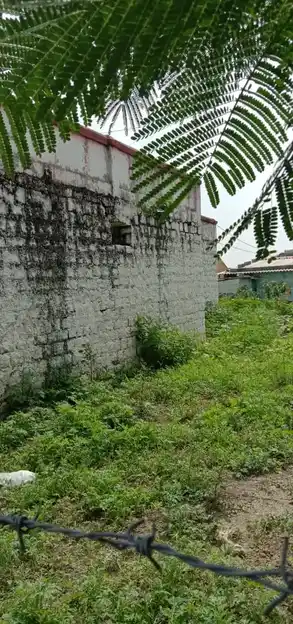 Arulmigu Venkataramana Swamy Temple, Near Bagalur Bus Stand, Bagalur - 635103 அருள்மிகு வெங்கட்ரமணசுவாமி திருக்கோயில், Near Bagalur Bus Stand, Bagalur - 635103, Krishnagiri - Ancient Temple Architecture and History Image 3