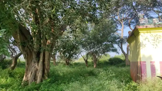 Arulmigu Venkataramana Swamy Temple, Thorapalliagraharam - 635130 அருள்மிகுவெங்கட்ரமணசாமி திருக்கோயில், Thorapalliagraharam - 635130, Krishnagiri - Ancient Temple Architecture and History Image 5