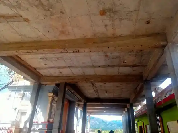 Arulmigu Venkatesa Perumal Temple, Kanguppam, Gudiyatham - 632602 அருள்மிகு வெங்கடேசப்பெருமாள் திருக்கோயில், மீனூர், குடியாத்தம் - 632602, Vellore - Ancient Temple Architecture and History Image 10