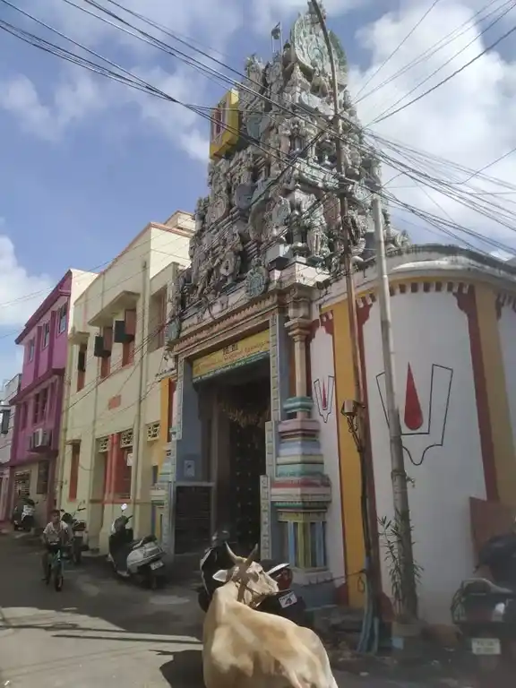 Arulmigu Venkatesa Perumal Temple, Mandaveli, Chennai - 600028 அருள்மிகு வெங்கடேச பெருமாள் திருக்கோயில், மந்தைவெளி, சென்னை - 600028, Chennai - Ancient Temple Architecture and History Image 4