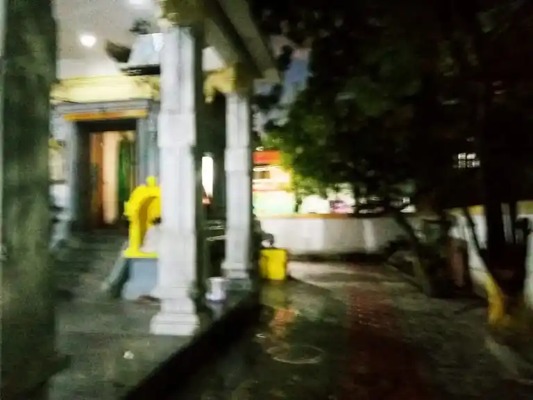 Arulmigu Venkatesa Perumal Temple, Mannurpet, Chennai - 600050 அருள்மிகு வெங்கடேச பெருமாள் திருக்கோயில், மன்னூர்பேட்டை, சென்னை - 600050, Chennai - Ancient Temple Architecture and History Image 3