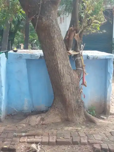 Arulmigu Venkatesa Perumal Temple, Pannimadai - 641018