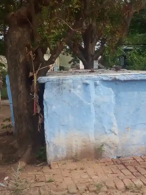 Arulmigu Venkatesa Perumal Temple, Pannimadai - 641018 அருள்மிகு வெங்கடேச பெருமாள் திருக்கோயில், Pannimadai - 641018, Coimbatore - Ancient Temple Architecture and History Image 3