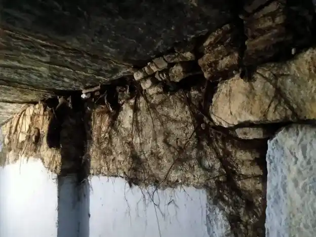 Arulmigu Venkatesa Perumal Temple, Paradarami - 632602 அருள்மிகு வெங்கடேச பெருமாள் திருக்கோயில், பரதராமி - 632602, Vellore - Ancient Temple Architecture and History Image 3