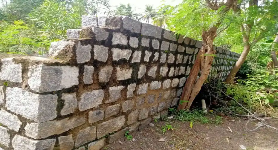 Arulmigu Venkatesa Perumal Vagaiyara Temple, Moongapattu - 632601 அருள்மிகு வெங்கடேசப் பெருமாள் திருக்கோயில், மூங்கப்பட்டு - 632601, Vellore - Ancient Temple Architecture and History Image 4