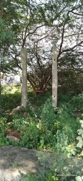 Arulmigu Venkatesaperumal Temple, Sinthilipu - 642201 அருள்மிகு வெங்கடேஸ்வரப் பெருமாள் திருக்கோயில், Sinthilipu - 642201, Tiruppur - Ancient Temple Architecture and History Image 2