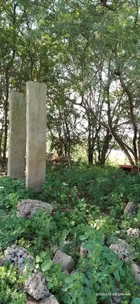 Arulmigu Venkatesaperumal Temple, Sinthilipu - 642201 அருள்மிகு வெங்கடேஸ்வரப் பெருமாள் திருக்கோயில், Sinthilipu - 642201, Tiruppur - Ancient Temple Architecture and History Image 4