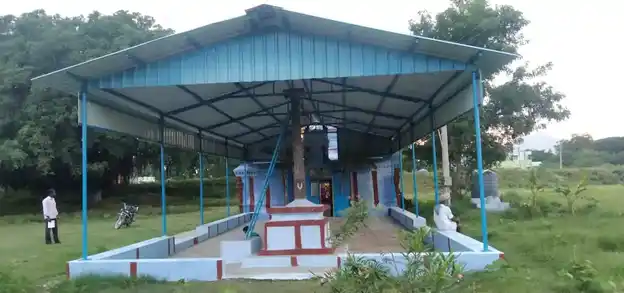 Arulmigu Venkatramana Swamy Selliamma Vagayara Temple, Palavadi - 636809 அருள்மிகு வெங்கட்ரமணசுவாமி செல்லியம்மன் வகையறா திருக்கோயில், Palavadi - 636809, Dharmapuri - Ancient Temple Architecture and History Image 3