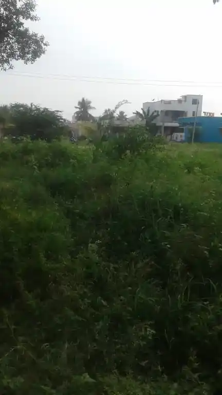 Arulmigu Venkitaa Patti Vinayagar Temple, Kanavoipatty - 624202