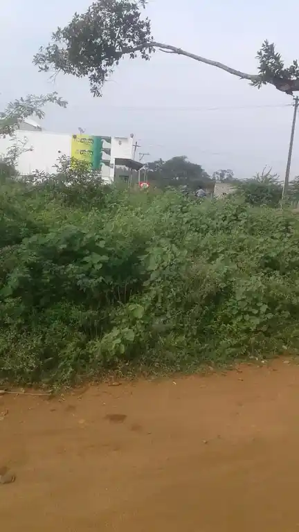 Arulmigu Venkitaa Patti Vinayagar Temple, Kanavoipatty - 624202 அருள்மிகு வெங்கிடாபட்டி வினாயகர் திருக்கோயில், Kanavoipatty - 624202, Dindigul - Ancient Temple Architecture and History Image 4