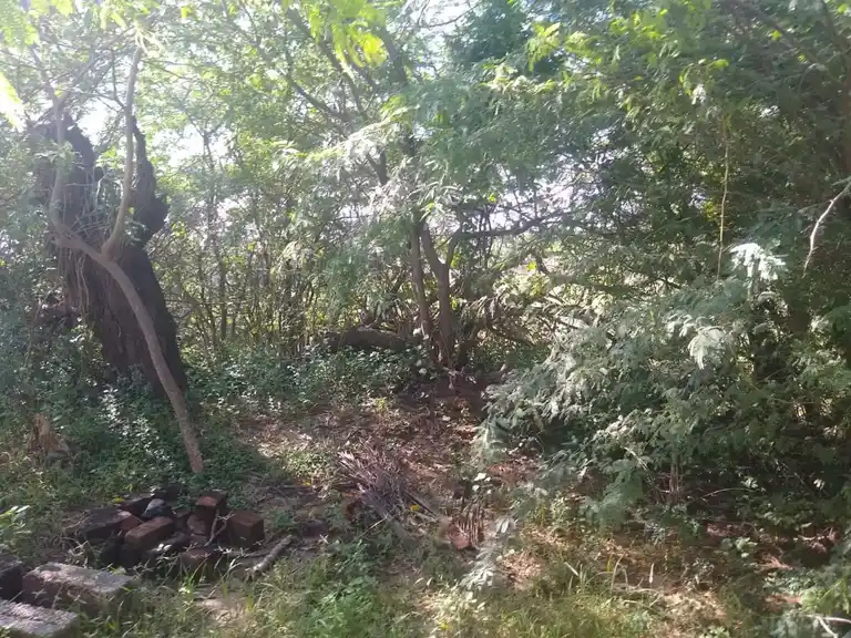 Arulmigu Venkulam Sastha Endra Vennaperumal Temple, Akkarai, Suchindrum - 629704 அருள்மிகு வெங்குளம் சாஸ்தா என்ற வெண்ணபெருமாள் திருக்கோயில், Akkarai, Suchindrum - 629704, Kanyakumari - Ancient Temple Architecture and History Image 2