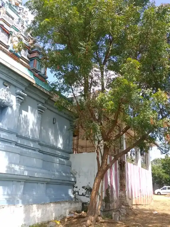 Arulmigu Vennai Unda Nathar Perumal Vagayara Temple, Vinnamangalam - 613402 அருள்மிகு வெண்ணையுண்ட பெருமாள் திருக்கோயில், Vinnamangalam - 613402, Thanjavur - Ancient Temple Architecture and History Image 5