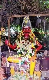 அருள்மிகு வெண்ணங்கொடி முனியப்ப சுவாமி திருக்கோயில், Jagir Ammmapalayam, Salem - 636302 - Main View