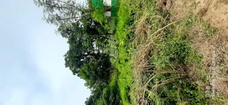 Arulmigu Venugobalaswamy Temple, Vilathoti - 609807 அருள்மிகு வேனுகோபாலசுவாமி திருக்கோயில், Vilathoti - 609807, Thanjavur - Ancient Temple Architecture and History Image 2