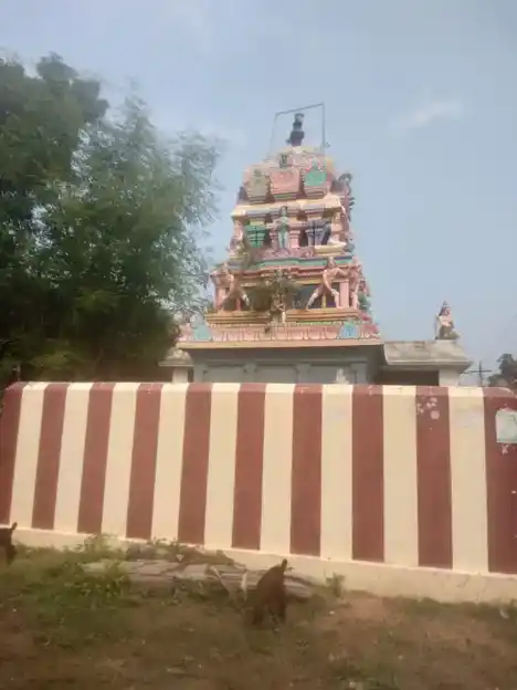 Arulmigu Venugopala Samy Temple, Sri Neduncheri - 608703 அருள்மிகு வேணுகோபாலசுவாமி திருக்கோயில், ஸ்ரீ நெடுஞ்சேரி - 608703, Cuddalore - Ancient Temple Architecture and History Image 4