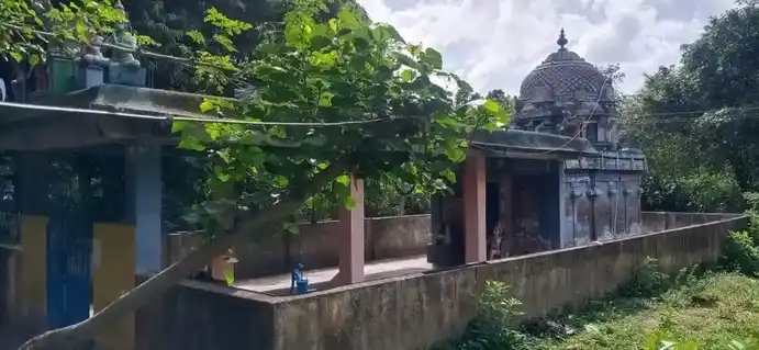 Arulmigu Venugopala Swai Temple, Koonthaloor - 609501 அருள்மிகு வேணுகோபாலசுவாமி திருக்கோயில், Koonthaloor - 609501, Thiruvarur - Ancient Temple Architecture and History Image 3