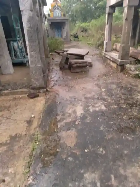 Arulmigu Venugopala Swami Temple, Kaniyanur Puthur - 632506 அருள்மிகு வேணுகோபாலசுவாமி திருக்கோயில், கணியனூர் புதூர் - 632506, Ranipet - Ancient Temple Architecture and History Image 5