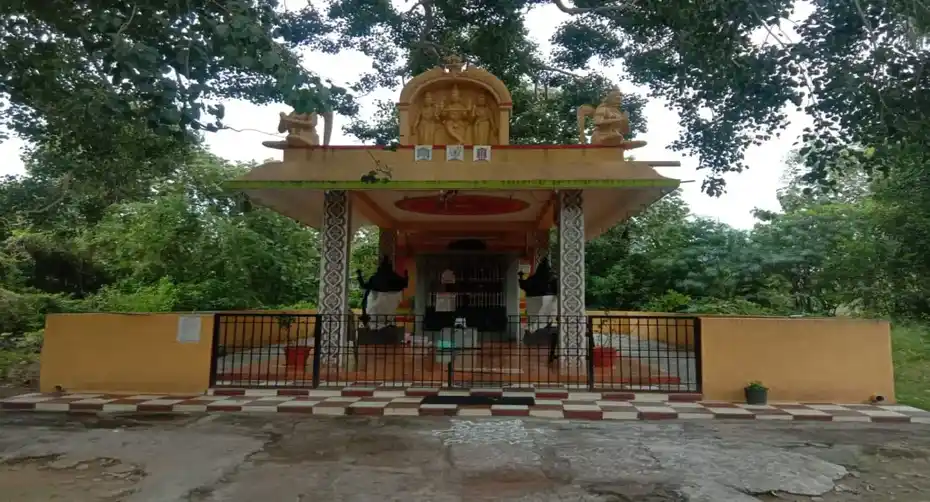 Arulmigu Venugopala Swami Temple, Kothamari Kuppam - 635805 அருள்மிகு வேணூகோபாலசுவாமி திருக்கோயில், கொத்தமாரிகுப்பம் - 635805, Vellore - Ancient Temple Architecture and History Image 5