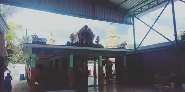 Arulmigu Venugopalasamy And Kasiviswanathar Temple, Rasipuram - 637406 Arulmigu Venugopalasamy And Kasiviswanathar Temple, Rasipuram - 637406, Namakkal - Ancient Temple Architecture and History Image 4