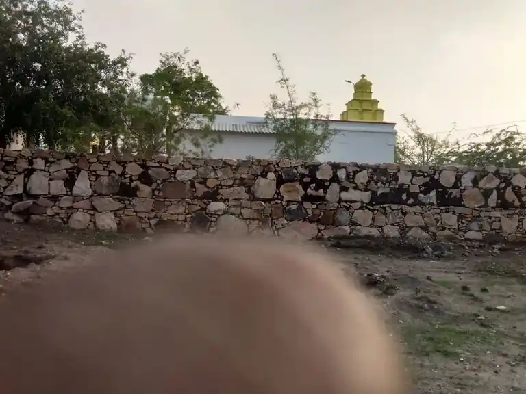 Arulmigu Venugopalasamy Temple, Adanur - 628712