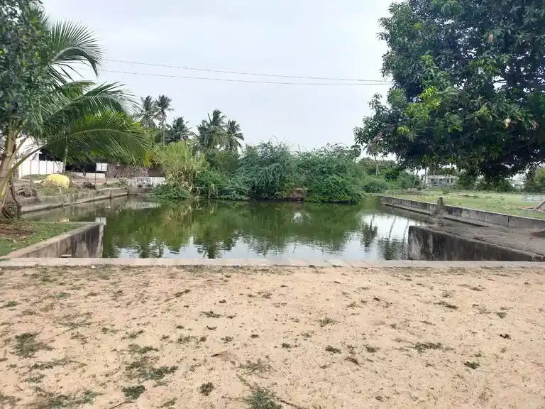 Arulmigu Venugopalasamy Temple, Adinarayananpuram - 608801 அருள்மிகு வேணுகோபாலசாதி திருக்கோயில், Adinarayananpuram - 608801, Cuddalore - Ancient Temple Architecture and History Image 3
