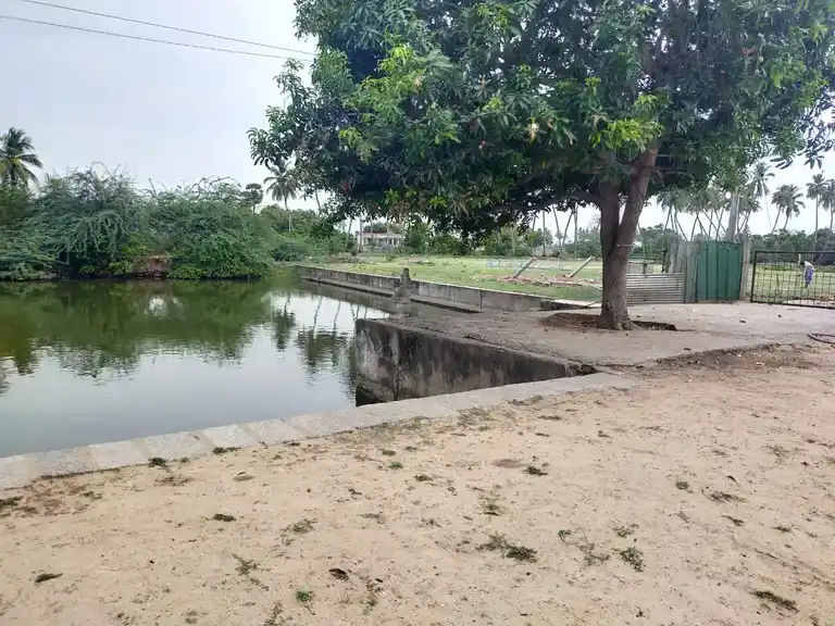 Arulmigu Venugopalasamy Temple, Adinarayananpuram - 608801 அருள்மிகு வேணுகோபாலசாதி திருக்கோயில், Adinarayananpuram - 608801, Cuddalore - Ancient Temple Architecture and History Image 4