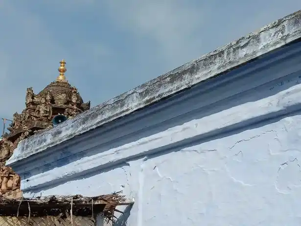 Arulmigu Venugopalasamy Temple, Alandurai, Coimbatore - 641101 அருள்மிகு வேணுகோபாலசாமி திருக்கோயில், ஆலாந்துறை, Coimbatore - 641101, Coimbatore - Ancient Temple Architecture and History Image 5